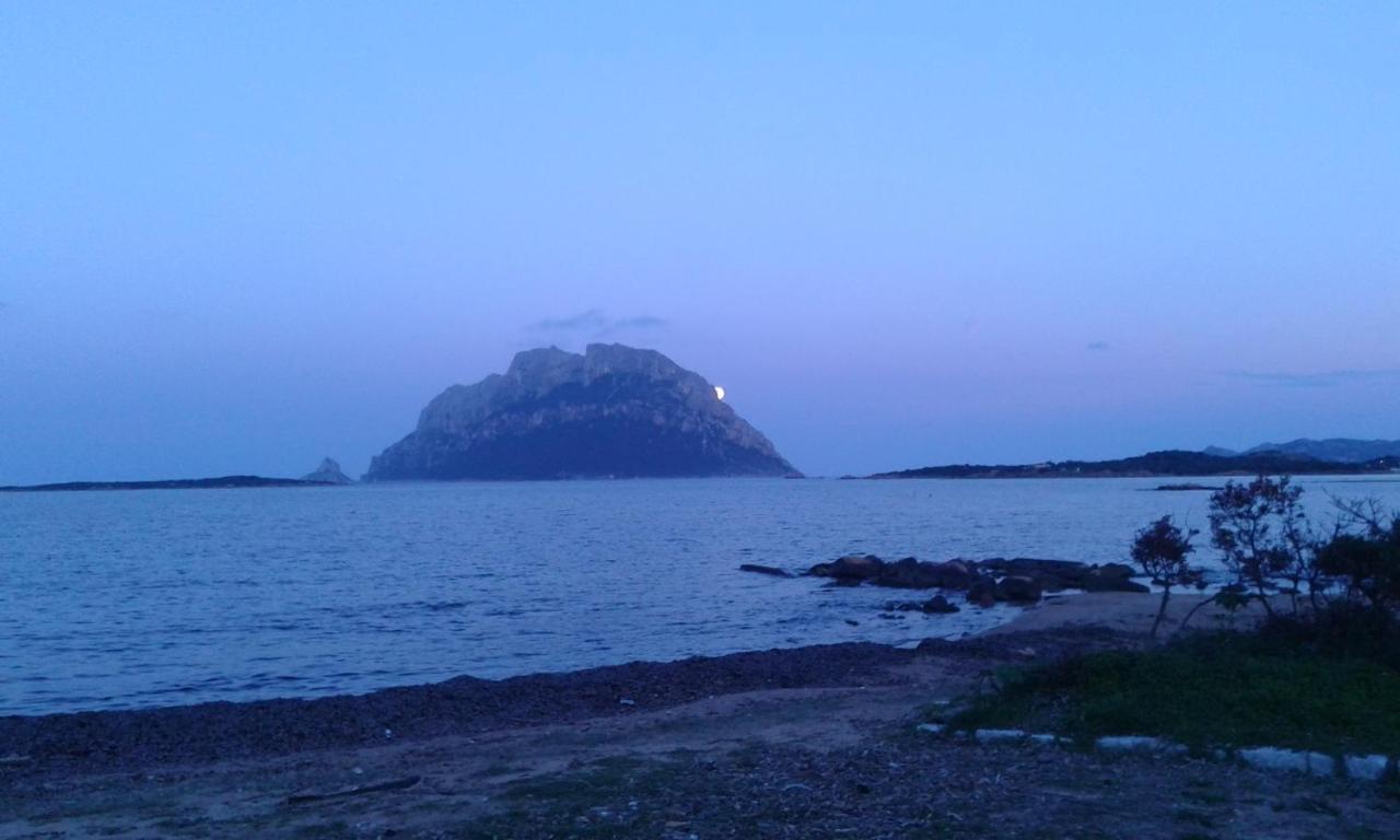 Frina Di Mari B&B San Teodoro  Extérieur photo