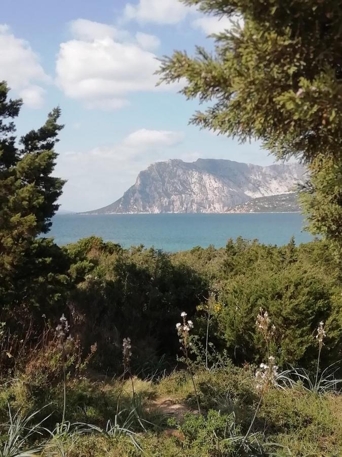 Frina Di Mari B&B San Teodoro  Extérieur photo